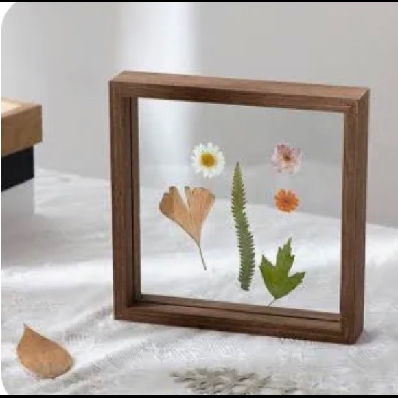 Source Unknown Other - Double Glass Frame for Pressed 💐 Flowers 🌸 ~ EUC